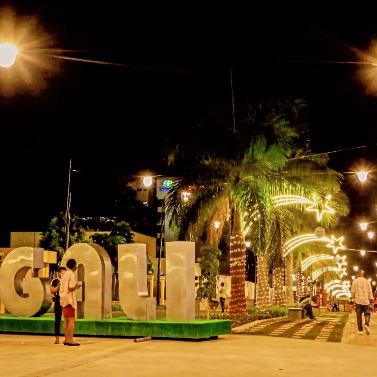 A palm-lined Kigali walkway decorated with lights at night
